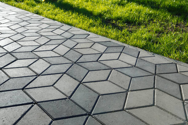 Best Local Driveway Pavers  in Danielson, CT