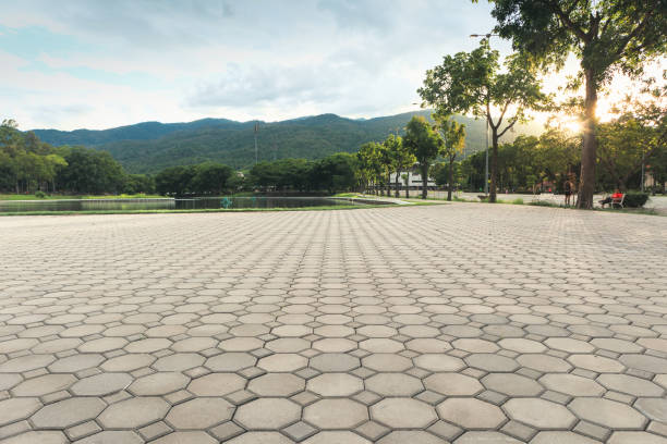 Best Interlocking Driveway Pavers  in Danielson, CT