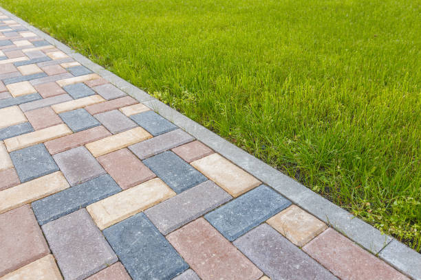 Best Local Driveway Pavers  in Danielson, CT